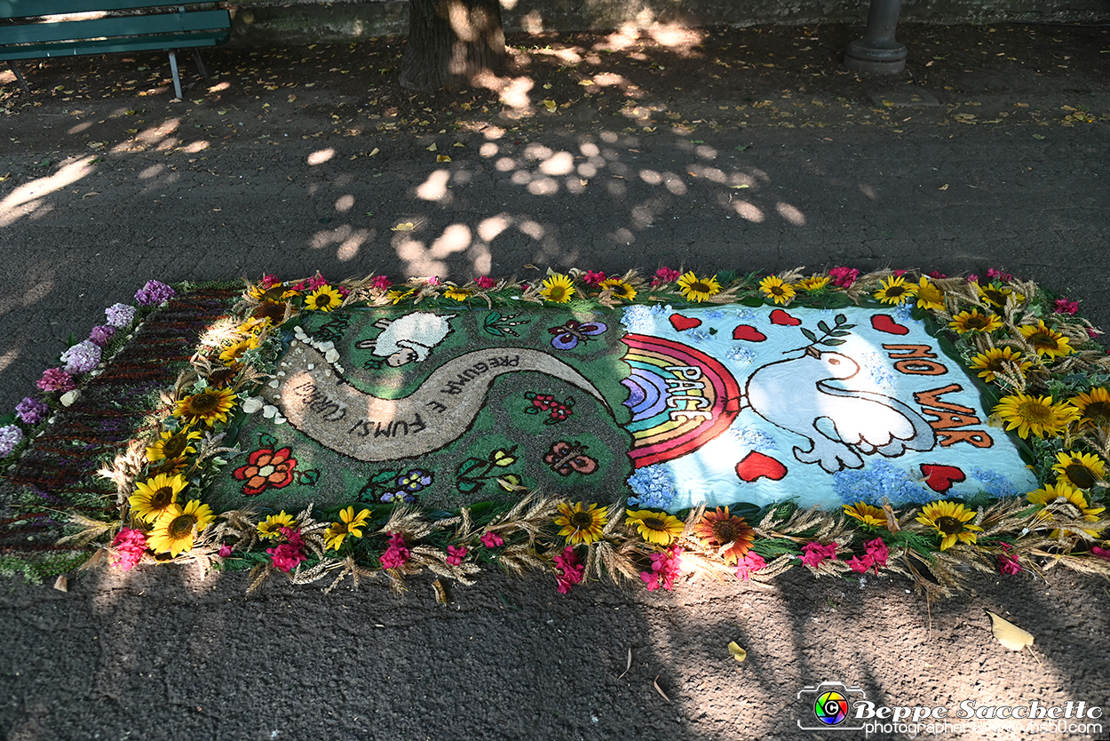 VBS_9810 - Infiorata Santuario della Madonnina di Villanova d'Asti 2024.jpg